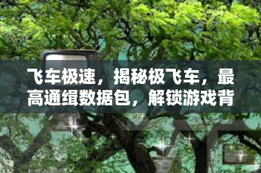 飞车极速，揭秘极飞车，最高通缉数据包，解锁游戏背后的秘密