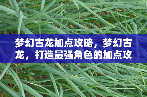 梦幻古龙加点攻略，梦幻古龙，打造最强角色的加点攻略