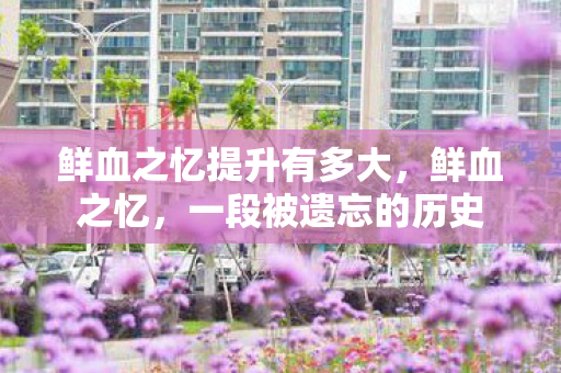 鲜血之忆提升有多大，鲜血之忆，一段被遗忘的历史
