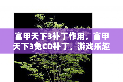 富甲天下3补丁作用，富甲天下3免CD补丁，游戏乐趣与道德边界的探讨