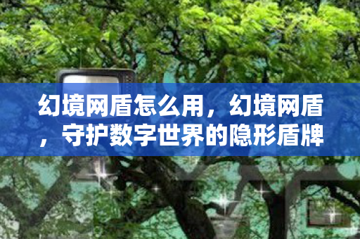 守护数字世界的隐形盾牌图片