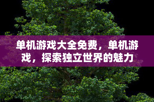 单机游戏大全免费，单机游戏，探索独立世界的魅力