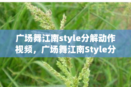 广场舞江南style分解动作视频图片