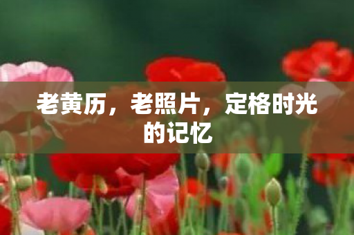老黄历，老照片，定格时光的记忆