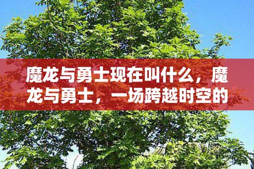 一场跨越时空的冒险之旅图片