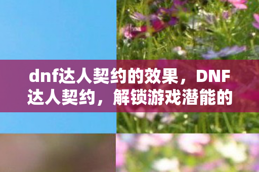 dnf达人契约的效果图片