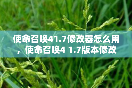 7版本修改器使用指南图片