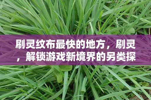 解锁游戏新境界的另类探索图片