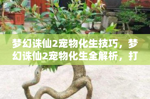 梦幻诛仙2宠物化生全解析图片