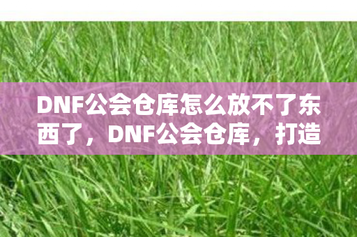 DNF公会仓库怎么放不了东西了图片