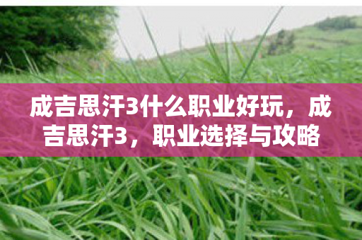 成吉思汗3什么职业好玩图片