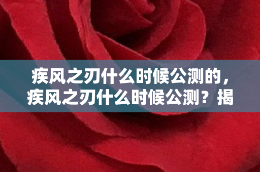 疾风之刃什么时候公测的图片