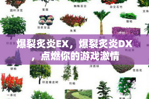 点燃你的游戏激情图片