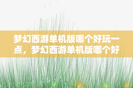 梦幻西游单机版哪个好玩一点，梦幻西游单机版哪个好玩？