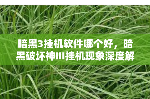 暗黑3挂机软件哪个好，暗黑破坏神III挂机现象深度解析