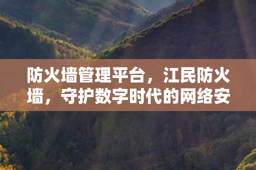 防火墙管理平台，江民防火墙，守护数字时代的网络安全