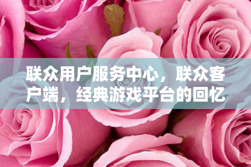 经典游戏平台的回忆与变迁图片