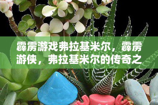 弗拉基米尔的传奇之旅图片