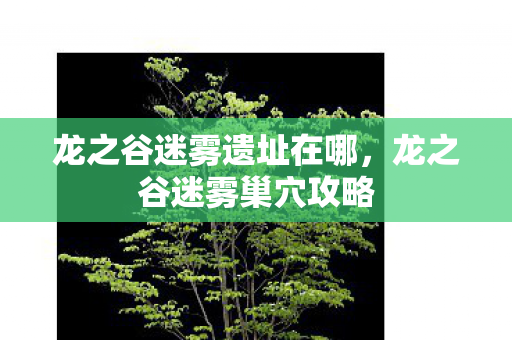 龙之谷迷雾遗址在哪图片