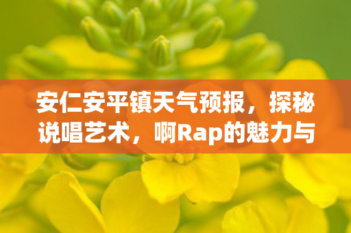 啊Rap的魅力与传承图片