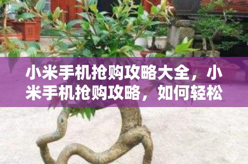 如何轻松抢到心仪的小米手机图片