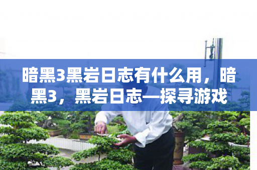 暗黑3黑岩日志有什么用，暗黑3，黑岩日志—探寻游戏深处的秘密与挑战