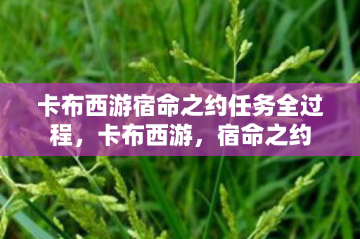 卡布西游宿命之约任务全过程图片