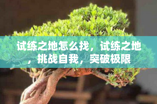 试练之地怎么找图片