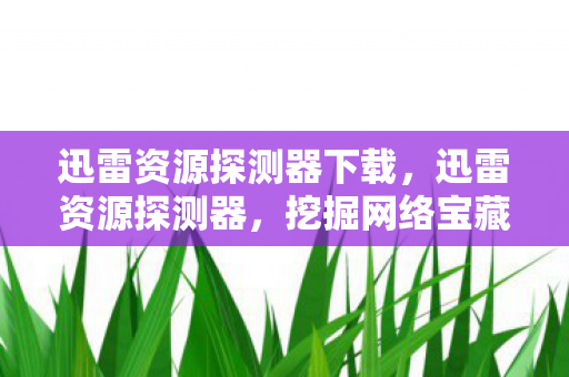 迅雷资源探测器下载图片