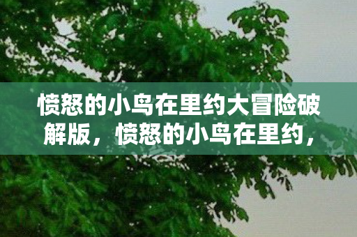 愤怒的小鸟在里约大冒险破解版图片