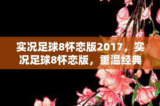 实况足球8怀恋版2017图片