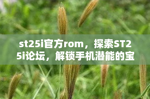 解锁手机潜能的宝藏之地图片