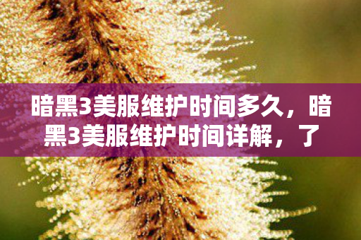 暗黑3美服维护时间多久，暗黑3美服维护时间详解，了解并应对游戏更新带来的不便