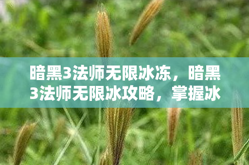 暗黑3法师无限冰冻，暗黑3法师无限冰攻略，掌握冰封之道，成为终极法师！