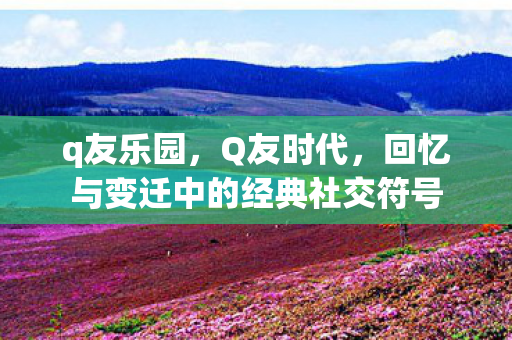 回忆与变迁中的经典社交符号图片