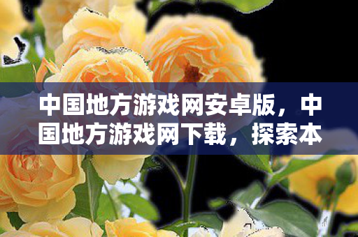 探索本土游戏文化的多彩魅力图片