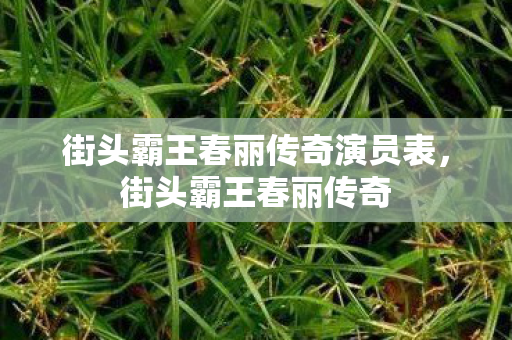 街头霸王春丽传奇演员表图片