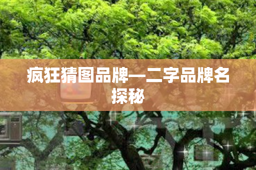 疯狂猜图品牌—二字品牌名探秘