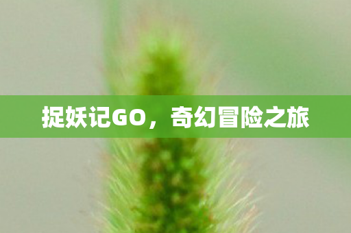 捉妖记GO，奇幻冒险之旅