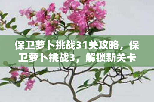 保卫萝卜挑战31关攻略图片