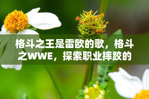 探索职业摔跤的激情与魅力图片