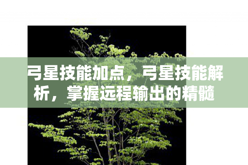 弓星技能加点，弓星技能解析，掌握远程输出的精髓