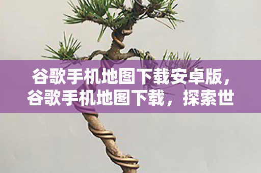 谷歌手机地图下载安卓版，谷歌手机地图下载，探索世界的便捷工具