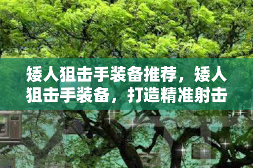 矮人狙击手装备推荐，矮人狙击手装备，打造精准射击的传奇