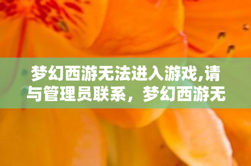梦幻西游无法进入游戏图片