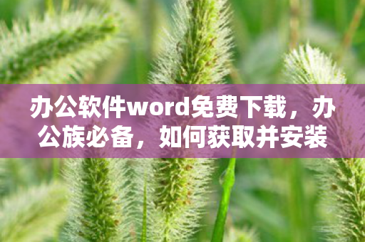 如何获取并安装Word 2003图片