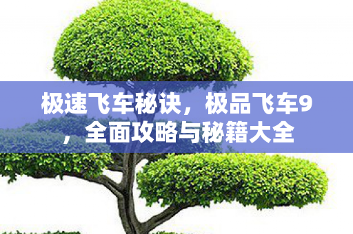 全面攻略与秘籍大全图片