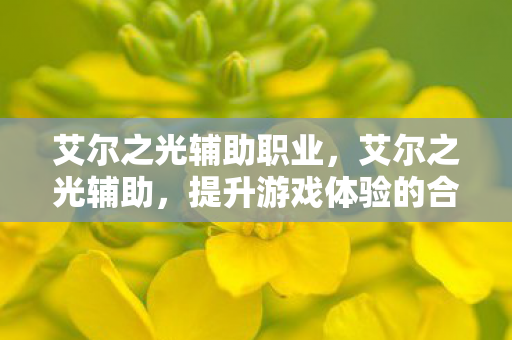 艾尔之光辅助职业，艾尔之光辅助，提升游戏体验的合法途径
