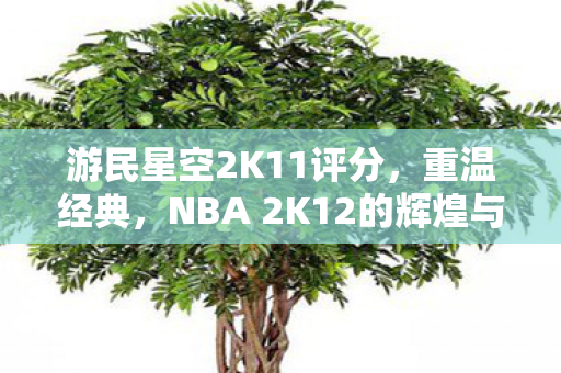 游民星空2K11评分，重温经典，NBA 2K12的辉煌与回忆