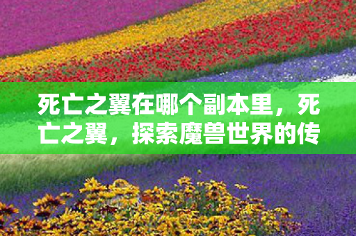 死亡之翼在哪个副本里，死亡之翼，探索魔兽世界的传奇副本